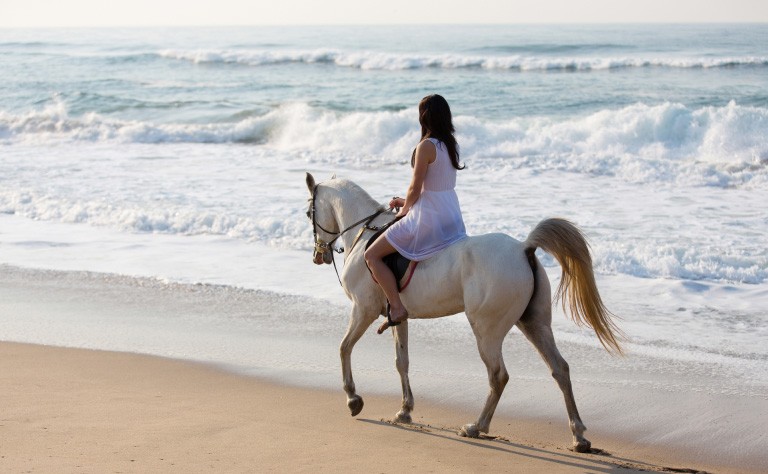 HORSE RIDING