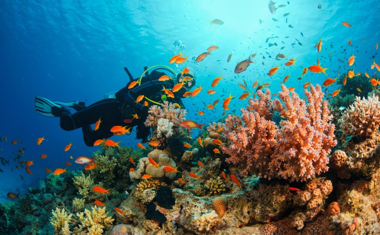 DIVING